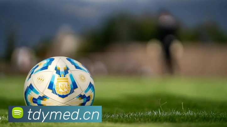 开云在线登录入口官网APP 体育赛事宣传图